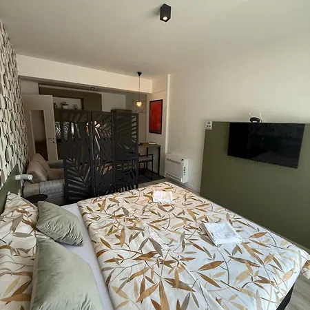 Appartement Andjusic 1 *